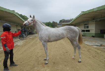 ����Ʈ ����