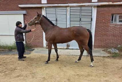 �ε����ѹ��� ����