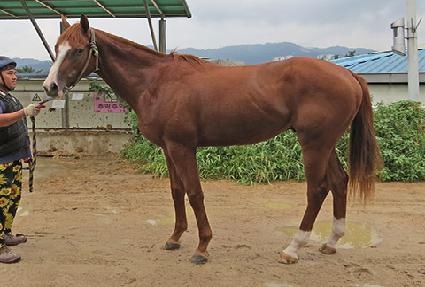 ��ī���Լ� ����