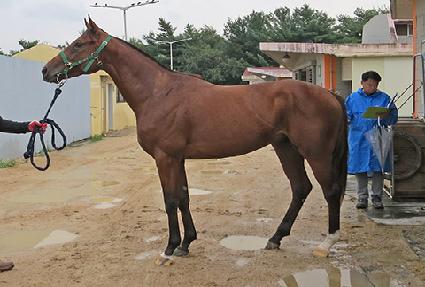 ��Ű�� ����