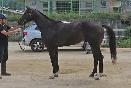 �������� ����