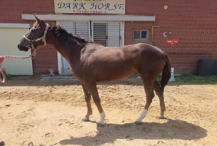 ��Ÿ��ƽ��Ʈ ����