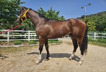 ���ƽý��� (OASIS YOUNG) ����