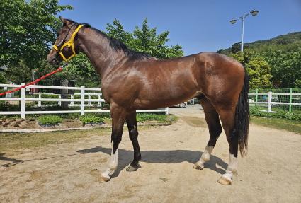 ���ƽý��� ����