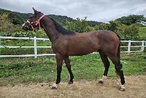 ���ƽý����� (OASIS HAPPY) ����