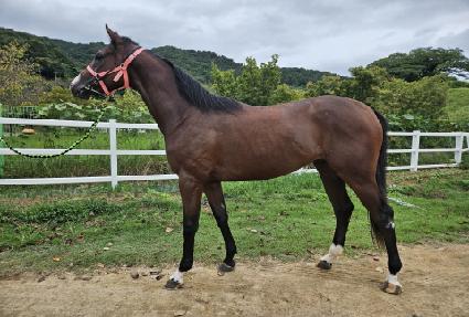 ���ƽý����� ����