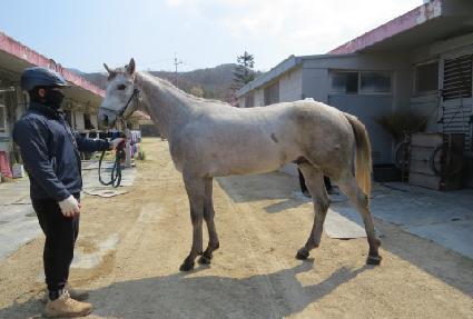 �������� ����