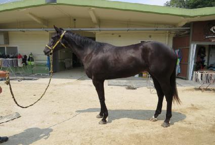 �����̵� ����