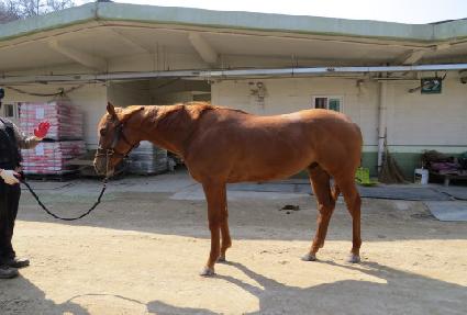 ��� ����