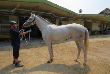 ������Ȥ ����