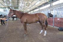 �ݼ����� (GEUMSEONG BULPAE) ����