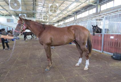 �ݼ����� ����