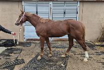 ���θ޴� (SEOBU MEDAL) ����