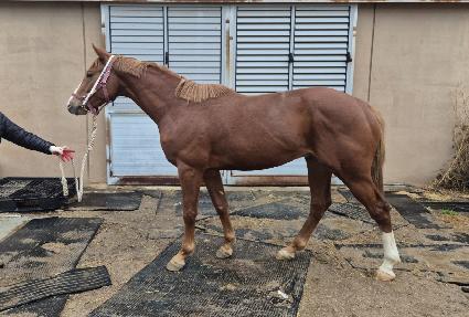 ���θ޴� ����