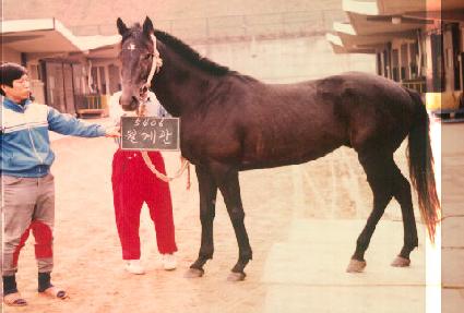 ����� ����