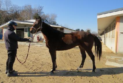 ��������Ʈ ����