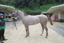 ���ʽ����� (WINNER��S BLUE) ����