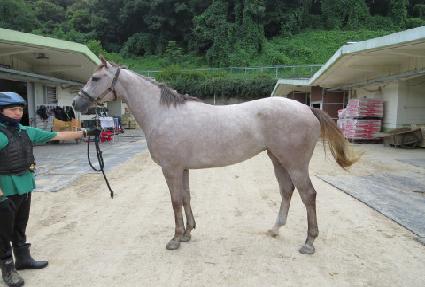 ���ʽ����� ����