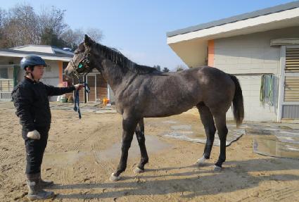 ����ŷ ����