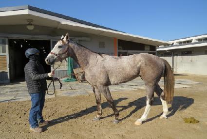 ���ο��� ����