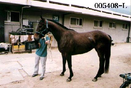 ������ ����