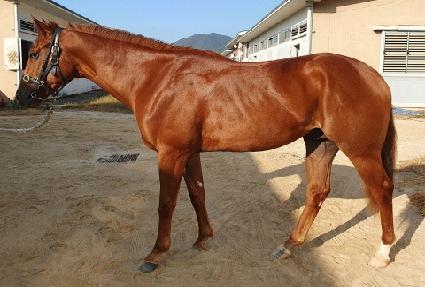 ��ó ����