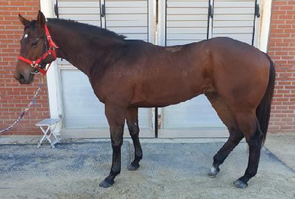 ���ʺ������ ����