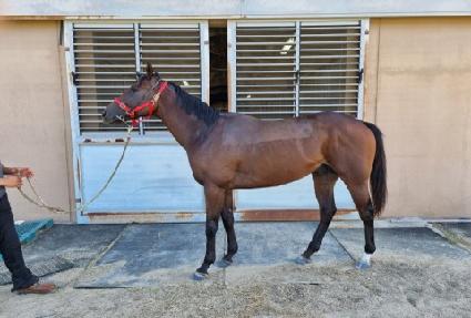 ũ������ĭ ����