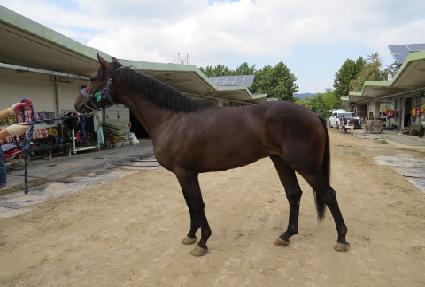 ������¡���� ����