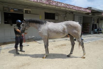 ����� ����