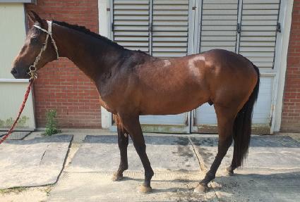 ���ɿ�Ʈ��� ����