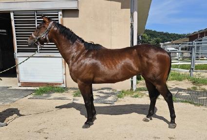 ��Ʈ�� ����