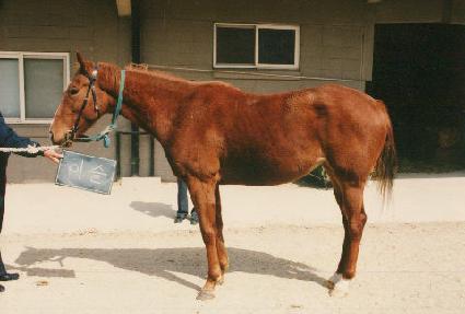 �̽� ����