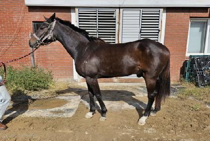 ����Ʈÿ�� ����