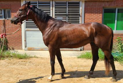 ��ƿ��Ƽ�÷��̾� ����