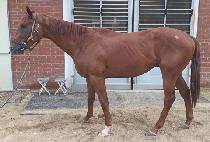 ��Ÿ��ƽ���� (FANTASTIC WORLD) ����