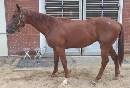 ��Ÿ��ƽ���� ����