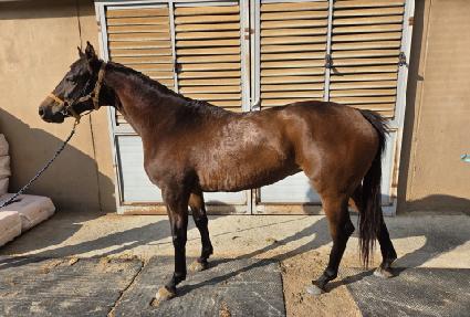 �������� ����