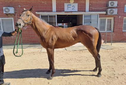 ����ǲ� ����