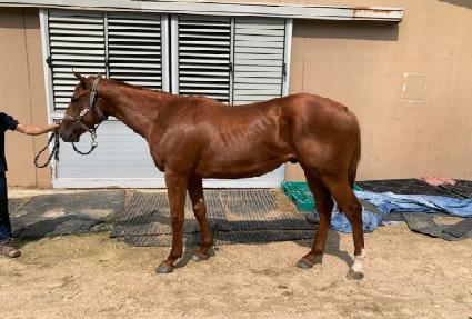 �ް��÷��� ����