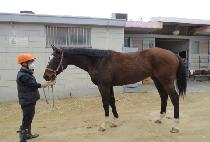 ŷ������ (KING MASTER) ����