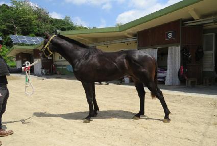 ����ũ�ο� ����