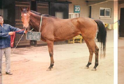 ¡�Ҹ� ����