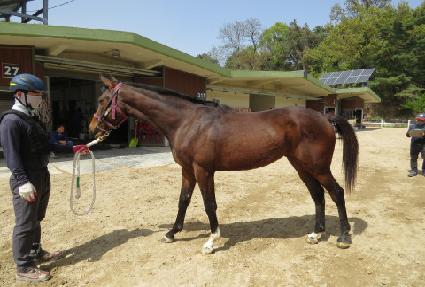 ������Ʈ�� ����