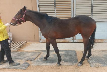 �����Ʈ ����