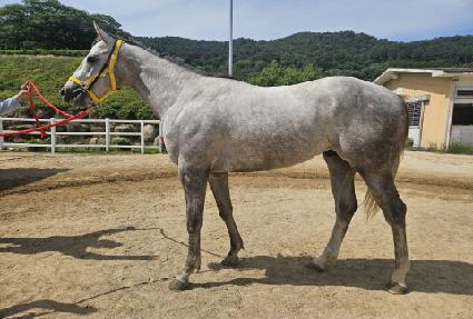 ���ƽý�ȯ�� ����