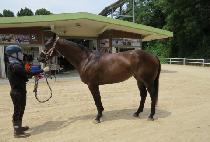 ����Ʈ��ũ�� (BEST SECRET) ����