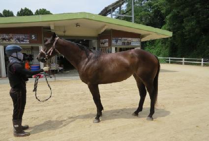 ����Ʈ��ũ�� ����