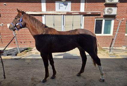 ���Ѵ�� ����