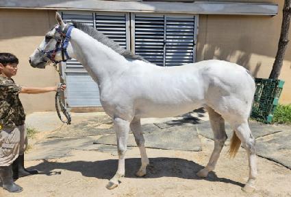 ȭ��Ʈ��Ÿ ����